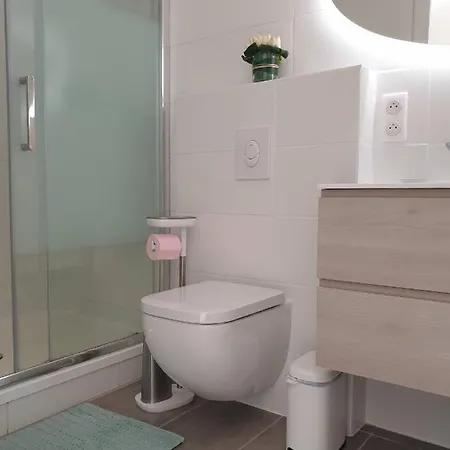 Chambre Executive Luxe Et Confort Pour Vos Sejours Schweighouse-sur-Moder Exterior foto