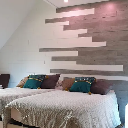 Chambre Executive Luxe Et Confort Pour Vos Sejours Schweighouse-sur-Moder Exterior foto