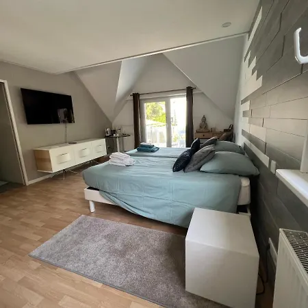 Chambre Executive Luxe Et Confort Pour Vos Sejours Schweighouse-sur-Moder Exterior foto