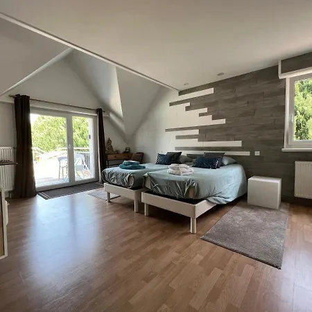 Chambre Executive Luxe Et Confort Pour Vos Sejours Schweighouse-sur-Moder Exterior foto