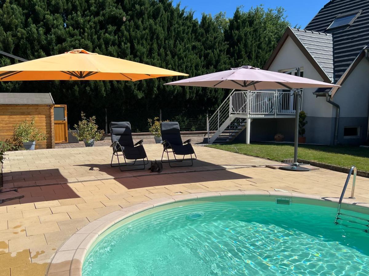 Privatunterkunft Executive Luxe Et Confort Pour Vos Sejours