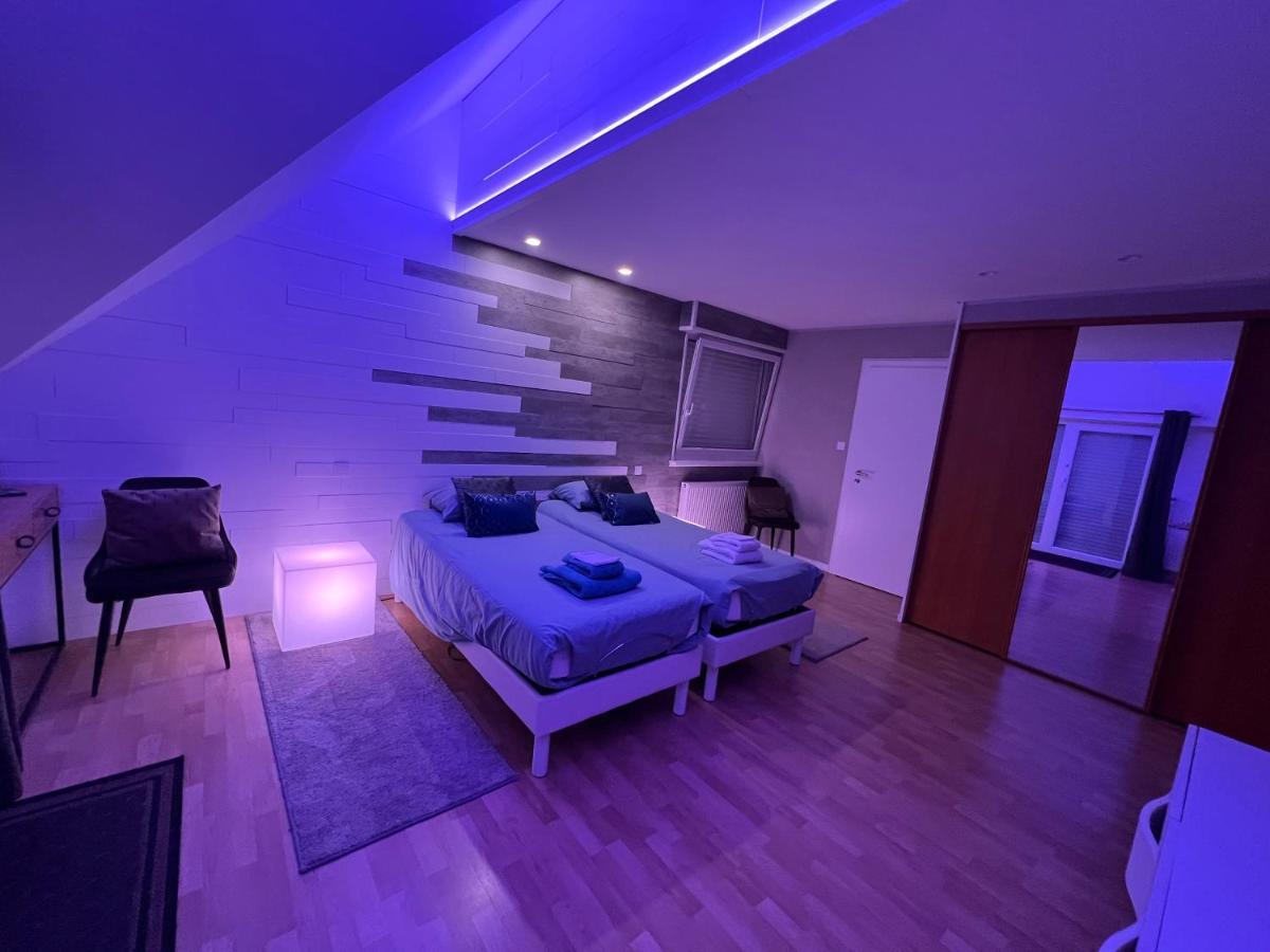 Executive Luxe Et Confort Pour Vos Sejours * Schweighouse-sur-Moder